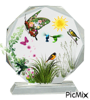 Nature in a Bubble анимиран GIF