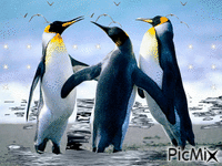 пингвины - Nemokamas animacinis gif