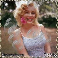 HD femme Marilyn Monroe(effet crayon) - Free animated GIF