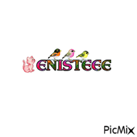 eniste - Zdarma animovaný GIF