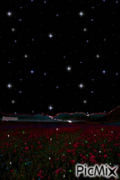 Beautiful Night - Nemokamas animacinis gif
