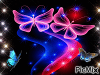 Butterflies - Ingyenes animált GIF