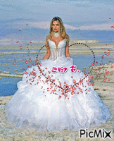 sposa al mare - Ingyenes animált GIF