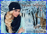 bonjour Decembre - GIF เคลื่อนไหวฟรี