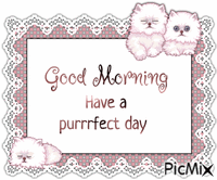 Good Morning, kitten animasyonlu GIF