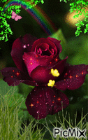 ROSSE - Free animated GIF