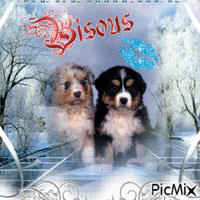 Des chiots Animated GIF