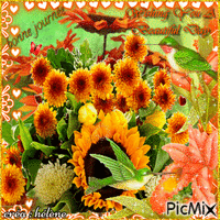 concours : Fleurs orange GIF animé