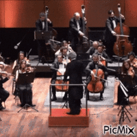Concerto pour orchestre symphonique - Gratis animeret GIF