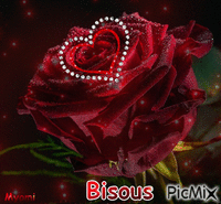 La rose de l Amour - GIF animado gratis