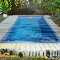 Pool Animated GIF