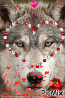 pour un loup que j aime - Gratis animeret GIF