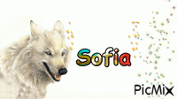 Sofia - GIF animasi gratis