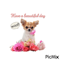Have a beautiful day animált GIF