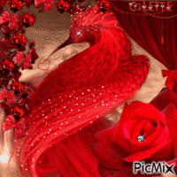 paradis rouge - Besplatni animirani GIF