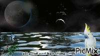 moon bird clouds water - Gratis geanimeerde GIF