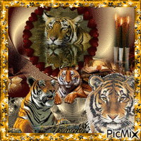 Les tigres pour vous 🎁🎁🎁 GIF animé