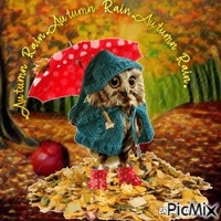 Autumn owl GIF animé
