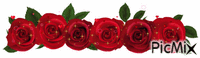 Rosas rojas - Animovaný GIF zadarmo