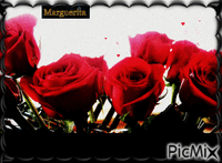 Les roses - GIF animé gratuit