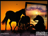 HORSES анимиран GIF