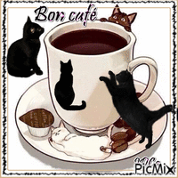 Bon café  les chatons - GIF animate gratis