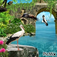 Storks - PNG gratuit