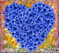 Blue heart GIF animé