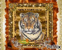 tigre animēts GIF