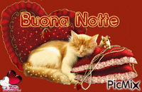 Buona NOTTE - Бесплатный анимированный гифка