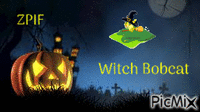 Witch Bobcat - GIF animé gratuit