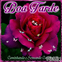 boa tarde - Бесплатный анимированный гифка
