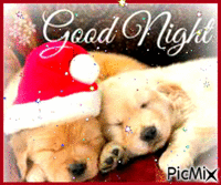 puppy goodnight - Darmowy animowany GIF