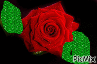 ROSA FLAMA - Bezmaksas animēts GIF