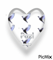 Paz - Bezmaksas animēts GIF