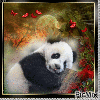 Panda au repos - Zdarma animovaný GIF