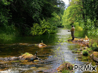 Busy River animuotas GIF