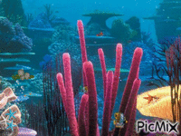 under the sea - Animovaný GIF zadarmo