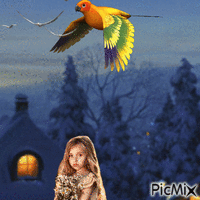 Ciel remplit d'oiseaux GIF animado