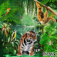 Жизнь  джунглей