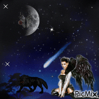 black night angel - GIF animé gratuit