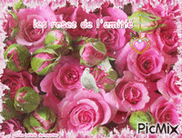 HD roses de l'amitié - Ücretsiz animasyonlu GIF