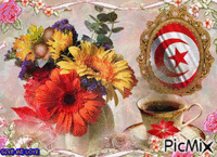 TUNISIA κινούμενο GIF
