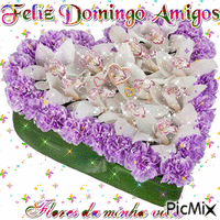 Feliz Domingo Amigos - Бесплатный анимированный гифка