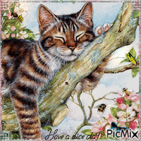 Have a Nice Day. cat, bees, butterfly, summer - Ingyenes animált GIF