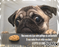 cookie анимирани ГИФ