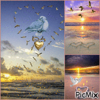 Mer, Colombes, Oies, Coeurs, Sea, Doves, Geese, Hearts アニメーションGIF