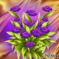 Lila virágok! - Besplatni animirani GIF