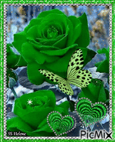 Green Roses. animuotas GIF
