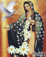 virgen de guadalupe - Free animated GIF
